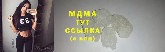 PSILOCYBIN Майский